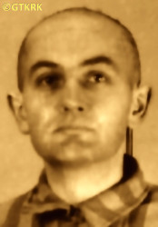 BOJDOŁ Francis - c. 25.04.1941, KL Auschwitz, concentration camp's photo; source: Archives of Auschwitz-Birkenau State Museum in Oświęcim (encyklo.pl), own collection; CLICK TO ZOOM AND DISPLAY INFO