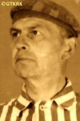 BOŘEK-DOHALSKÝ Antoninus - c. 08.1941, KL Auschwitz, concentration camp's photo; source: Archives of Auschwitz-Birkenau State Museum in Oświęcim (auschwitz.org), own collection; CLICK TO ZOOM AND DISPLAY INFO