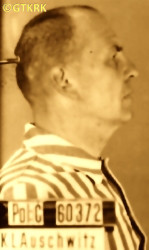 BOŘEK-DOHALSKÝ Antoninus - c. 08.1941, KL Auschwitz, concentration camp's photo; source: Archives of Auschwitz-Birkenau State Museum in Oświęcim (auschwitz.org), own collection; CLICK TO ZOOM AND DISPLAY INFO