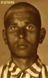 CELIŃSKI Vincent - c. 24.05.1941, KL Auschwitz, concentration camp's photo; source: Archives of Auschwitz-Birkenau State Museum in Oświęcim (auschwitz.org), own collection; CLICK TO ZOOM AND DISPLAY INFO