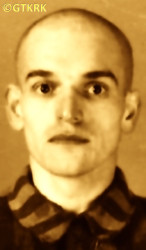 FILIPEK John - c. 08.01.1942, KL Auschwitz, concentration camp's photo; source: Archives of Auschwitz-Birkenau State Museum in Oświęcim (auschwitz.org), own collection; CLICK TO ZOOM AND DISPLAY INFO