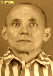 GALAS Sebastian (Fr Raphael) - c. 09.10.1942, KL Auschwitz, concentration camp's photo; source: Archives of Auschwitz-Birkenau State Museum in Oświęcim (auschwitz.org), own collection; CLICK TO ZOOM AND DISPLAY INFO