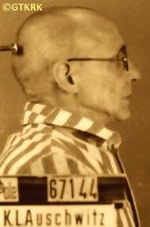 GALAS Sebastian (Fr Raphael) - c. 09.10.1942, KL Auschwitz, concentration camp's photo; source: Archives of Auschwitz-Birkenau State Museum in Oświęcim (auschwitz.org), own collection; CLICK TO ZOOM AND DISPLAY INFO