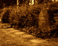 NARUSZEWICZ Ceslav Leo - Prästkragen Quarter, St Sigfrids cemetery, Borås, source: polskieslady.se, own collection; CLICK TO ZOOM AND DISPLAY INFO