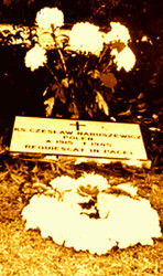 NARUSZEWICZ Ceslav Leo - Prästkragen Quarter, St Sigfrids cemetery, Borås, source: polskieslady.se, own collection; CLICK TO ZOOM AND DISPLAY INFO