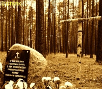GÓRNOWICZ Miloslav - Commemorative stone and cross, place of death, forests by Cekcyn, source: tygodnik.pl, own collection; CLICK TO ZOOM AND DISPLAY INFO