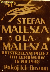 MALESZA Steven - Tombstone, Orthodox cemetery, Dratów, source: ukrainskanekropolia.org, own collection; CLICK TO ZOOM AND DISPLAY INFO