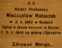 MATUSZEK Mieczyslav Boleslav - Commemorative plaque, parish church, Kórnik, source: www.wtg-gniazdo.org, own collection; CLICK TO ZOOM AND DISPLAY INFO