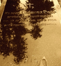 PEIK Jude Thaddeus - Grave tablet, parish cemetery, Kostrzyń, source: www.wtg-gniazdo.org, own collection; CLICK TO ZOOM AND DISPLAY INFO