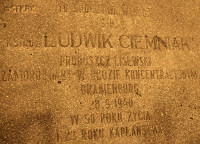 CIEMNIAK Louis - Tombstone, cemetery, Lisewo, source: www.wtg-gniazdo.org, own collection; CLICK TO ZOOM AND DISPLAY INFO