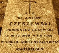 CZESZEWSKI Anthony - Tombstone, cemetery, Lusowo, source: www.wtg-gniazdo.org, own collection; CLICK TO ZOOM AND DISPLAY INFO