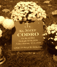 CODRO Joseph Francis - Cenotaph, parish cemetery, Nakło, source: www.pallotyni.pl, own collection; CLICK TO ZOOM AND DISPLAY INFO