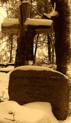 DANECKI Joseph - Tomb, parish cemetery, Parzymiechy, source: atlaswsi.pl, own collection; CLICK TO ZOOM AND DISPLAY INFO