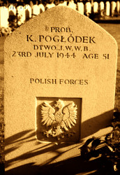 POGŁÓDEK Constantine - Tomb, Duplin Castle, Perth, Scotland, source: www.wolbrom.pl, own collection; CLICK TO ZOOM AND DISPLAY INFO