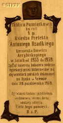 RZADKI Anthony - Commemorative plaque, Birth of the Virgin Mary church, Śrem, source: picasaweb.google.com, own collection; CLICK TO ZOOM AND DISPLAY INFO
