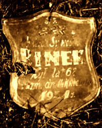 BINEK Silvester - Tombstone, Powązki cementary, Warsaw, source: www.wtg-gniazdo.org, own collection; CLICK TO ZOOM AND DISPLAY INFO