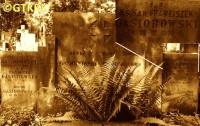 GĄSIOROWSKI Francis - Tombstone, Old Powązki cementary, Warsaw, source: cmentarze.um.warszawa.pl, own collection; CLICK TO ZOOM AND DISPLAY INFO