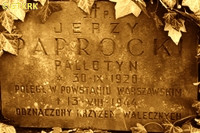 PAPROCKI Jerzy - Tabliczka nagrobna, cmentarz Powązki, Warszawa, źródło: libermortuorum.pl, zasoby własne; KLIKNIJ by POWIĘKSZYĆ i WYŚWIETLIĆ INFO