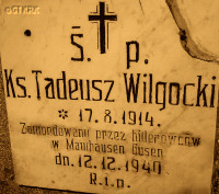 WILGOCKI Thaddeus - Commemorative plaque, Września, source: www.wtg-gniazdo.org, own collection; CLICK TO ZOOM AND DISPLAY INFO