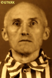 KŁOBUKOWSKI Julius Mieczyslav - c. 15.09.1942, KL Auschwitz, concentration camp's photo; source: Archives of Auschwitz-Birkenau State Museum in Oświęcim (auschwitz.org), own collection; CLICK TO ZOOM AND DISPLAY INFO