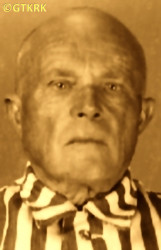 KOPIJASZ Joseph - c. 20.08.1942, KL Auschwitz, concentration camp's photo; source: Archives of Auschwitz-Birkenau State Museum in Oświęcim (www.041940.pl), own collection; CLICK TO ZOOM AND DISPLAY INFO