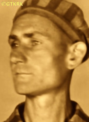 KOWALSKI Bernard - c. 29.05.1941, KL Auschwitz, concentration camp's photo; source: Archives of Auschwitz-Birkenau State Museum in Oświęcim (www.pallotyni.org), own collection; CLICK TO ZOOM AND DISPLAY INFO