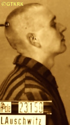 KUŽELA Francis (Cl. Patrick Mary) - c. 15.02.1942, KL Auschwitz, concentration camp's photo; source: Archives of Auschwitz-Birkenau State Museum in Oświęcim (auschwitz.org), own collection; CLICK TO ZOOM AND DISPLAY INFO
