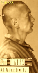 LISIŃSKI Thaddeus - c. 24.05.1941, KL Auschwitz, concentration camp's photo; source: Archives of Auschwitz-Birkenau State Museum in Oświęcim (auschwitz.org), own collection; CLICK TO ZOOM AND DISPLAY INFO