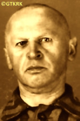MĄCZYŃSKI Vladislav Alexander - c. 10.02.1942, KL Auschwitz, concentration camp's photo; source: Archives of Auschwitz-Birkenau State Museum in Oświęcim (www.harmeze.franciszkanie.pl), own collection; CLICK TO ZOOM AND DISPLAY INFO