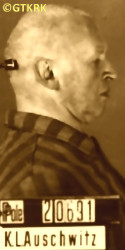 MĄCZYŃSKI Vladislav Alexander - c. 10.02.1942, KL Auschwitz, concentration camp's photo; source: Archives of Auschwitz-Birkenau State Museum in Oświęcim (auschwitz.org), own collection; CLICK TO ZOOM AND DISPLAY INFO