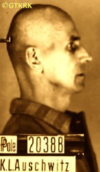 MARUSZAK Anthony (Bro. Titus) - c. 04.09.1941, KL Auschwitz, concentration camp's photo; source: Archives of Auschwitz-Birkenau State Museum in Oświęcim (auschwitz.org), own collection; CLICK TO ZOOM AND DISPLAY INFO
