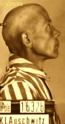 MICHALIK Francis - c. 24.05.1941, KL Auschwitz, concentration camp's photo; source: Archives of Auschwitz-Birkenau State Museum in Oświęcim (auschwitz.org), own collection; CLICK TO ZOOM AND DISPLAY INFO