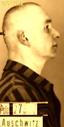 OLEARCZYK Vladislav - c. 30.03.1942, KL Auschwitz, concentration camp's photo; source: Archives of Auschwitz-Birkenau State Museum in Oświęcim (www.auschwitz.org), own collection; CLICK TO ZOOM AND DISPLAY INFO