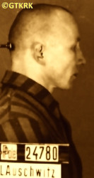 PACIOREK Joseph - c. 23.02.1942, KL Auschwitz, concentration camp's photo; source: Archives of Auschwitz-Birkenau State Museum in Oświęcim (auschwitz.org), own collection; CLICK TO ZOOM AND DISPLAY INFO