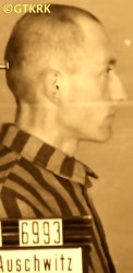 PRZYSTAŚ Roman - ok. 13.12.1940, KL Auschwitz, zdjęcie obozowe; źródło: Archiwum Państwowego Muzeum Auschwitz-Birkenau w Oświęcimiu (www.auschwitz.org), zasoby własne; KLIKNIJ by POWIĘKSZYĆ i WYŚWIETLIĆ INFO
