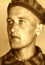 REGULSKI Bronislav - c. 29.05.1941, KL Auschwitz, concentration camp's photo; source: Archives of Auschwitz-Birkenau State Museum in Oświęcim (www.pallotyni.org), own collection; CLICK TO ZOOM AND DISPLAY INFO
