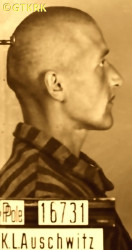 REGULSKI Bronislav - c. 29.05.1941, KL Auschwitz, concentration camp's photo; source: Archives of Auschwitz-Birkenau State Museum in Oświęcim (auschwitz.org), own collection; CLICK TO ZOOM AND DISPLAY INFO