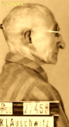 REWERA Anthony - c. 28.03.1942, KL Auschwitz, concentration camp's photo; source: Archives of Auschwitz-Birkenau State Museum in Oświęcim (www.auschwitz.org), own collection; CLICK TO ZOOM AND DISPLAY INFO