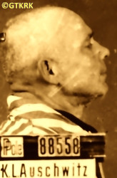 ROZMUS Vincent - c. 16.01.1943, KL Auschwitz, concentration camp's photo; source: Archives of Auschwitz-Birkenau State Museum in Oświęcim (auschwitz.org), own collection; CLICK TO ZOOM AND DISPLAY INFO