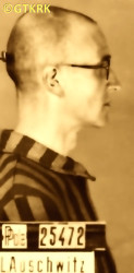 STUGLIK Steven - c. 10.01.1942, KL Auschwitz, concentration camp's photo; source: Archives of Auschwitz-Birkenau State Museum in Oświęcim (www.auschwitz.org), own collection; CLICK TO ZOOM AND DISPLAY INFO