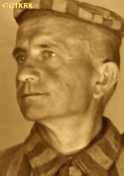 STYRA Francis - c. 17.07.1941, KL Auschwitz, concentration camp's photo; source: Archives of Auschwitz-Birkenau State Museum in Oświęcim (encyklo.pl), own collection; CLICK TO ZOOM AND DISPLAY INFO