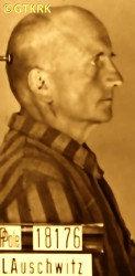 STYRA Francis - c. 17.07.1941, KL Auschwitz, concentration camp's photo; source: Archives of Auschwitz-Birkenau State Museum in Oświęcim (www.auschwitz.org), own collection; CLICK TO ZOOM AND DISPLAY INFO