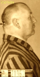 SYKULSKI Casimir Thomas - c. 24.10.1941, KL Auschwitz, concentration camp's photo; source: Archives of Auschwitz-Birkenau State Museum in Oświęcim (www.auschwitz.org), own collection; CLICK TO ZOOM AND DISPLAY INFO