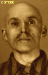 TWOREK Anthony - c. 28.03.1942, KL Auschwitz, concentration camp's photo; source: Archives of Auschwitz-Birkenau State Museum in Oświęcim (www.auschwitz.org), own collection; CLICK TO ZOOM AND DISPLAY INFO