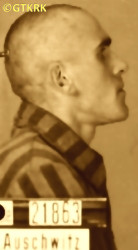 WILUCKI Thaddeus (Fr Edmund) - c. 04.11.1941, KL Auschwitz, concentration camp's photo; source: Archives of Auschwitz-Birkenau State Museum in Oświęcim (www.augustianie.pl), own collection; CLICK TO ZOOM AND DISPLAY INFO