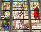 MĘCZEŃSTWO św. PERPETUI I FELICYTY: XIXw., witraż, Notre-Dame, Vierzon; źródło: commons.wikimedia.org