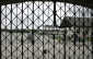 ARBEIT MACHT FREI: napis na bramie wejściowej do obozu, Dachau; źródło: anonymous-generaltopics.blogspot.com